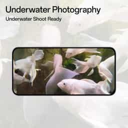 Slider Image 10
