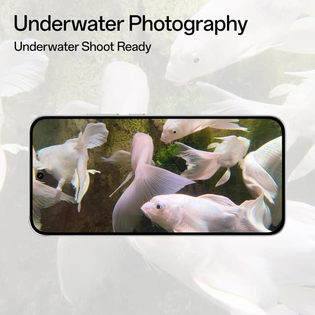 Slider Image 10