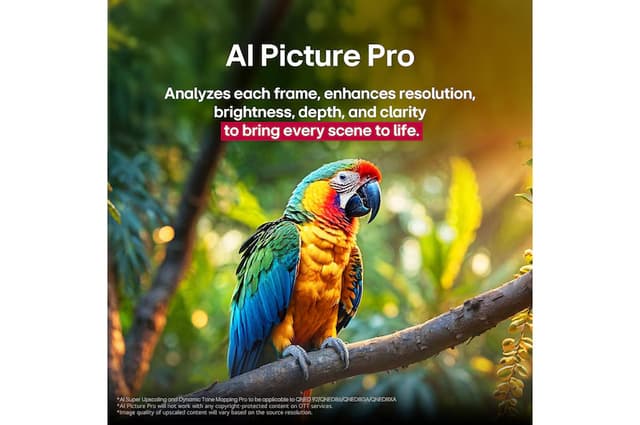 Slider Image 7