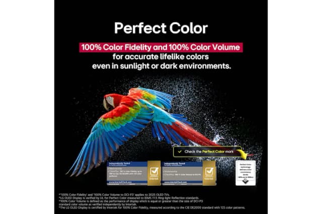 Slider Image 8