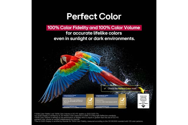 Slider Image 13